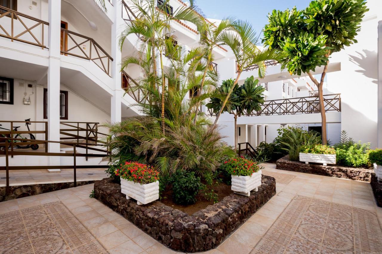 Go2Tenerife Apart'Pesca Rooftop Santiago 1 美洲海滩 外观 照片